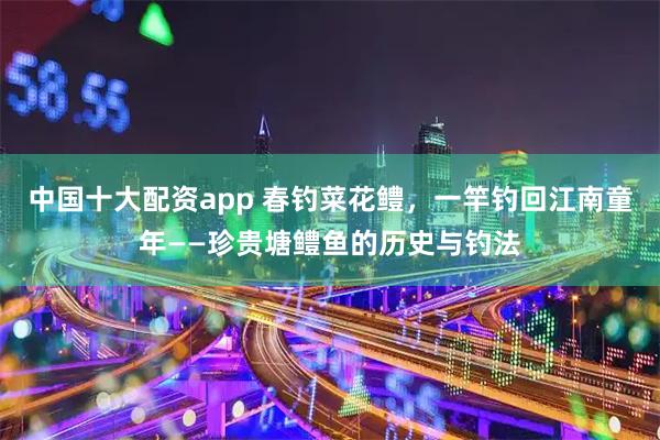 中国十大配资app 春钓菜花鳢，一竿钓回江南童年——珍贵塘鳢鱼的历史与钓法